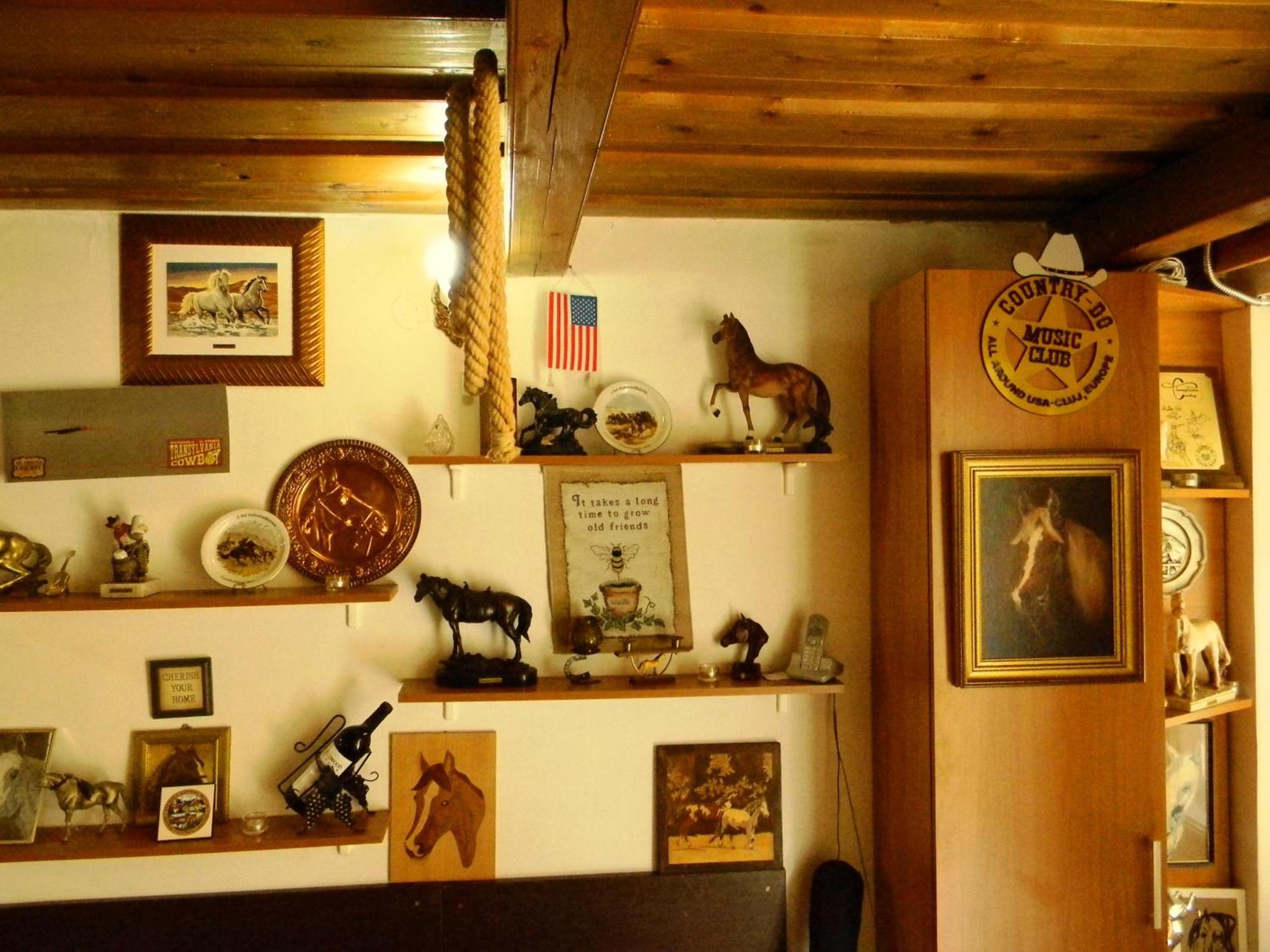 Transylvania Cowboy Cottage Клуж-Напока Екстер'єр фото